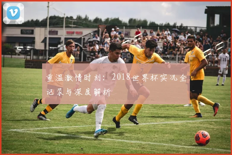 重温激情时刻：2018世界杯实况全记录与深度解析
